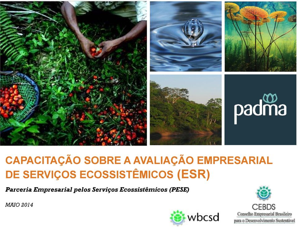 ECOSSISTÊMICOS (ESR) Parceria