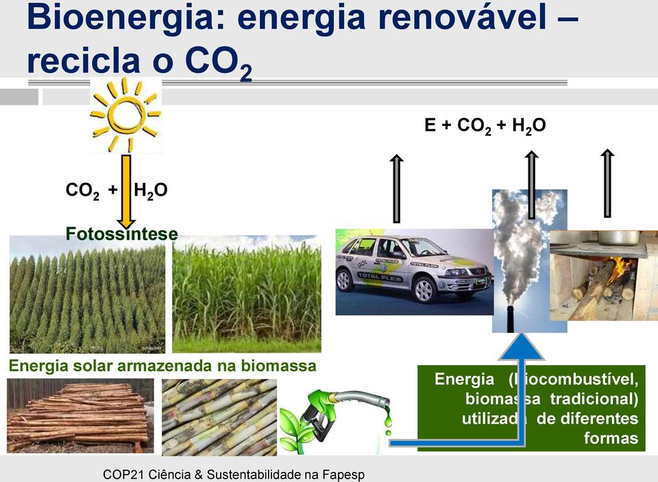 solar armazenada na biomassa Energia