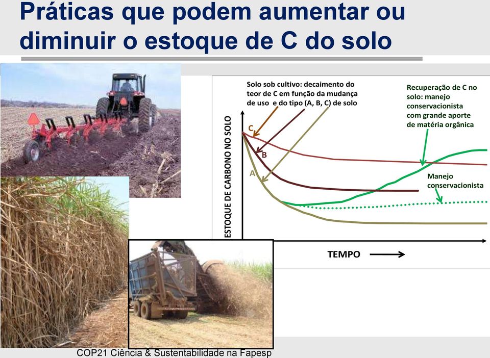 de uso e do tipo (A, B, C) de solo C Recuperação de C no solo: manejo