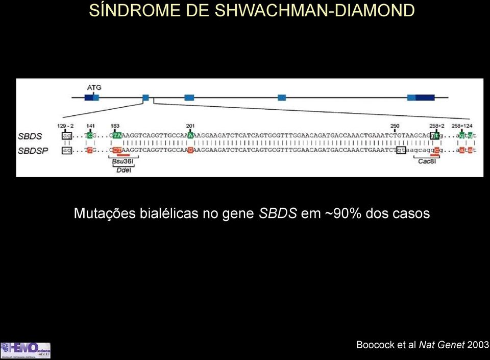 bialélicas no gene SBDS em