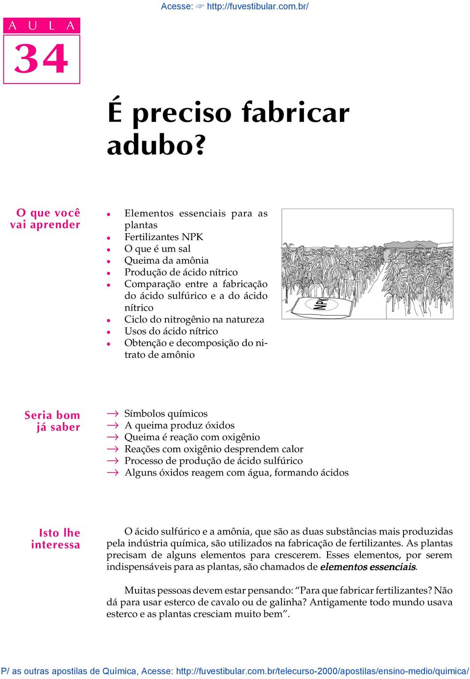 nítrico Cico do nitrogênio na natureza Usos do ácido nítrico Obtenção e decomposição do nitrato de amônio Seria bom já saber Símboos químicos A queima produz óxidos Queima é reação com oxigênio