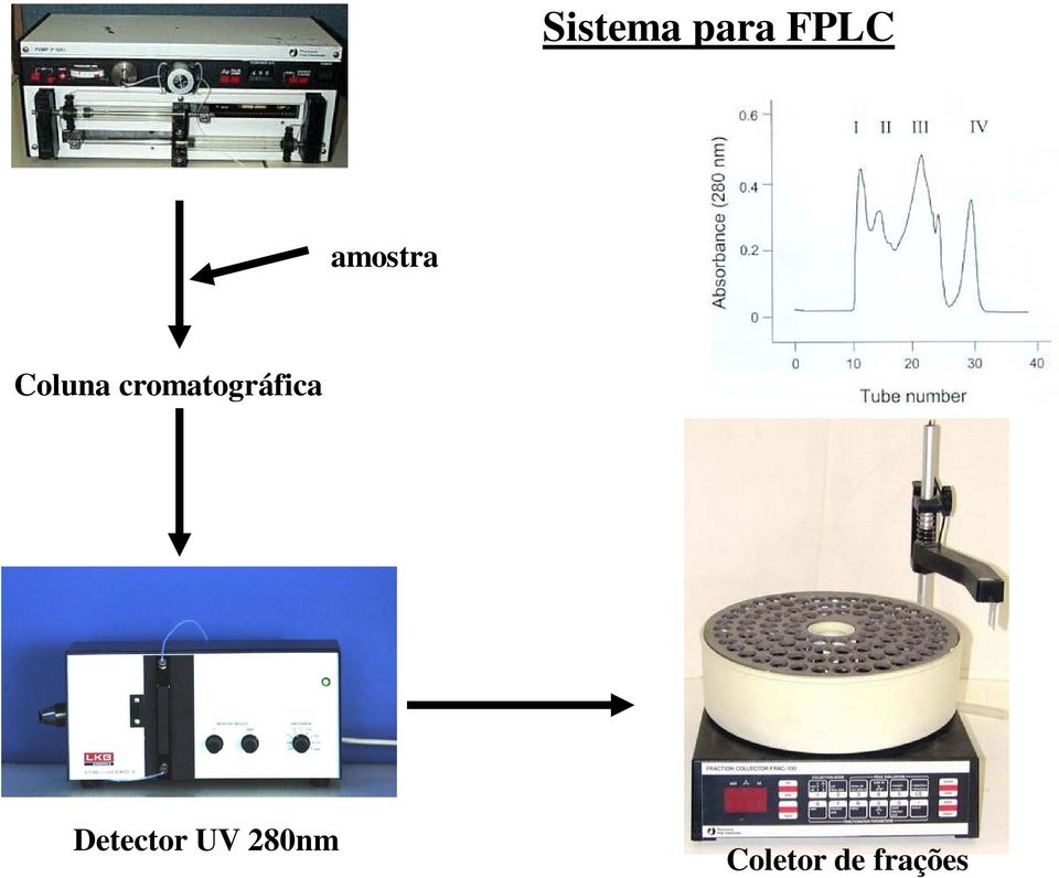 cromatográfica