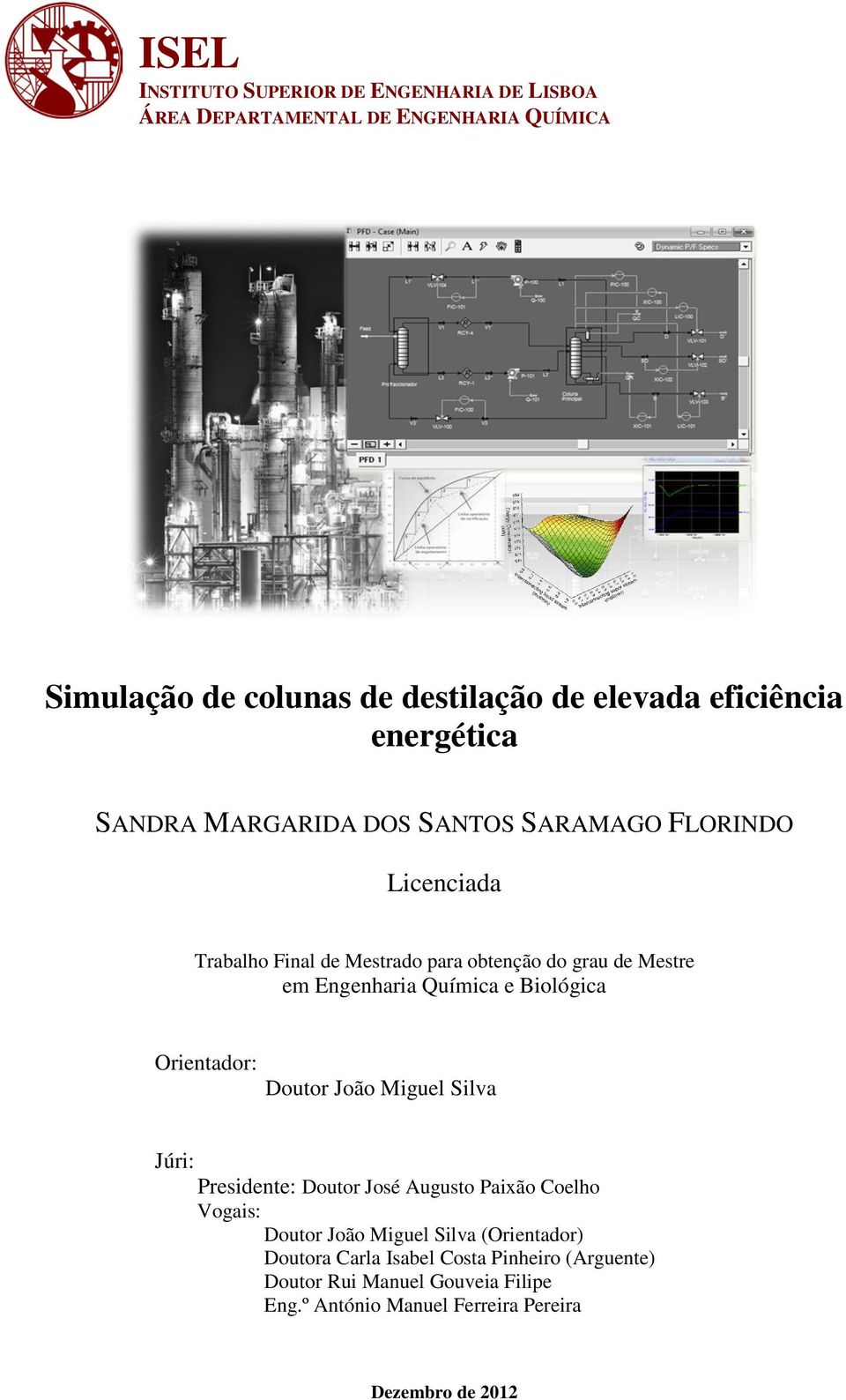 Engenharia Química e Biológica Orientador: Doutor João Miguel Silva Júri: Presidente: Doutor José Augusto Paixão Coelho Vogais: Doutor João