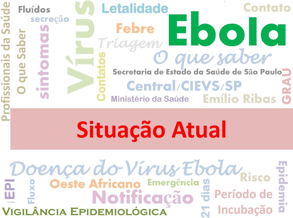 de Estado da Saúde de São Paulo Ministério da Saúde Emílio Ribas Situação Atual Oeste