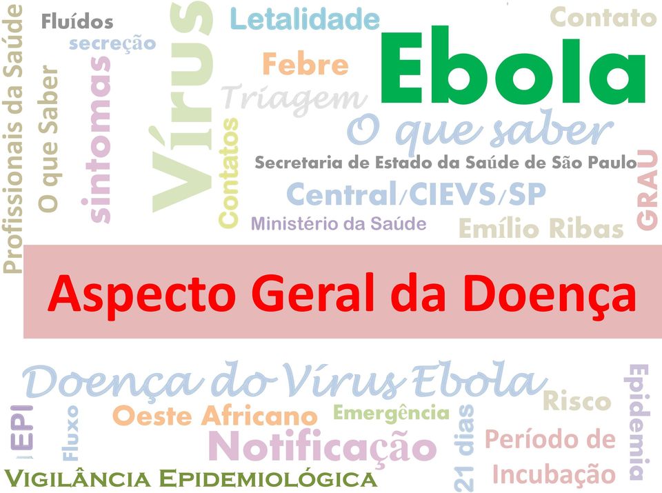 Estado da Saúde de São Paulo Ministério da Saúde Emílio Ribas Aspecto Geral da Doença Oeste