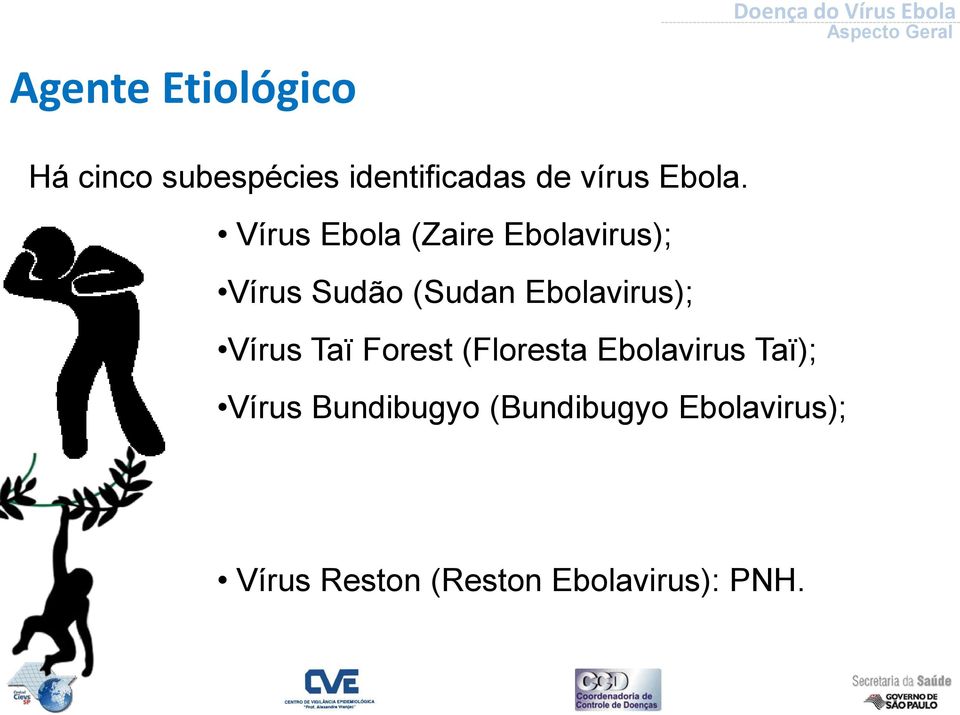 Vírus Ebola (Zaire Ebolavirus); Vírus Sudão (Sudan Ebolavirus);