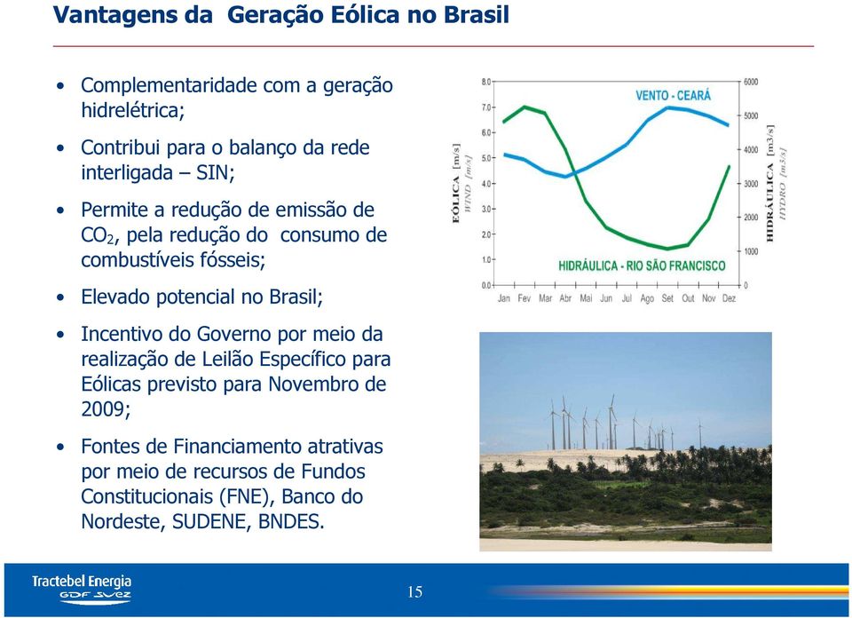 potencial no Brasil; Incentivo do Governo por meio da realização de Leilão Específico para Eólicas previsto para