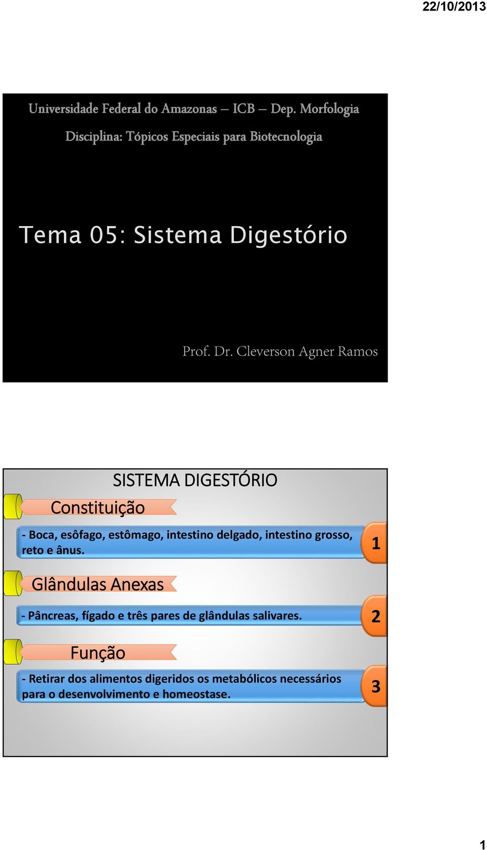 Constituição Boca, esôfago, estômago, intestino delgado, intestino grosso, reto e ânus.