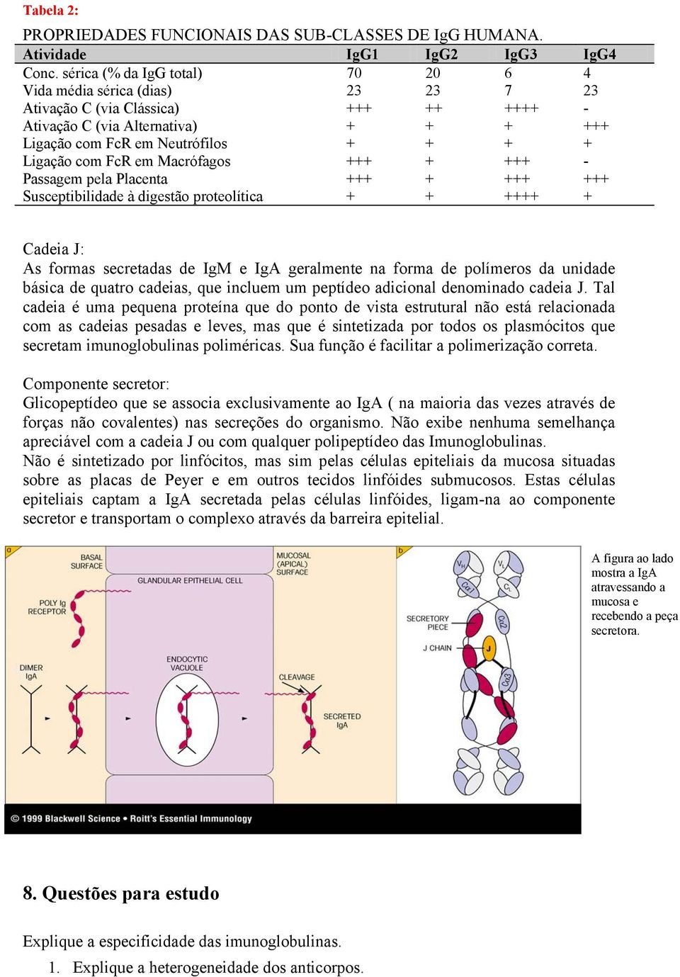 FcR em Macrófagos +++ + +++ - Passagem pela Placenta +++ + +++ +++ Susceptibilidade à digestão proteolítica + + ++++ + Cadeia J: As formas secretadas de IgM e IgA geralmente na forma de polímeros da