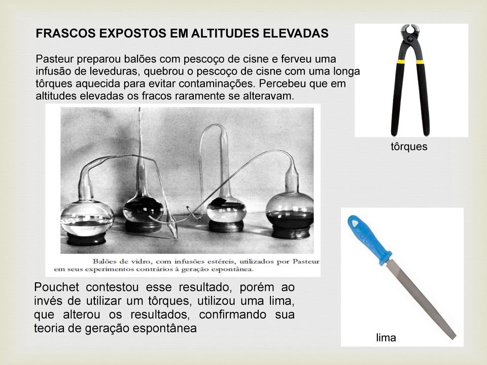 Percebeu que em altitudes elevadas os fracos raramente se alteravam.