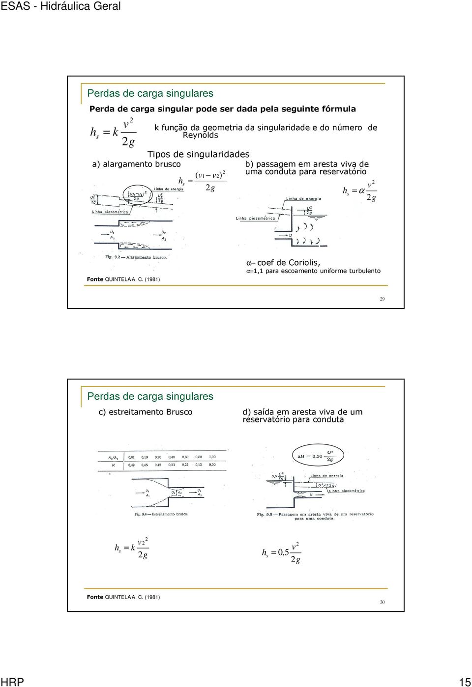 s = g v h s = α g Fonte QUINTELA A. C.