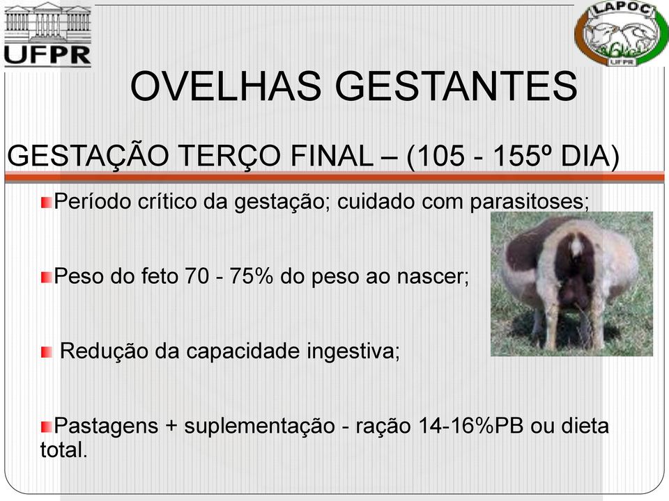 do feto 70-75% do peso ao nascer; Redução da capacidade