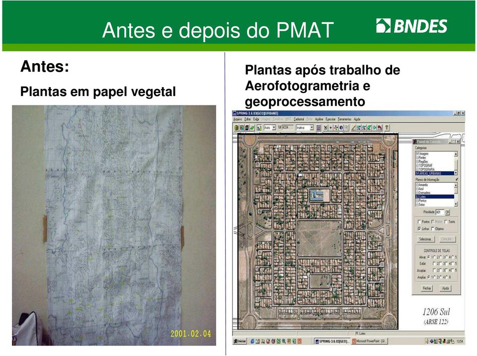 vegetal Plantas após