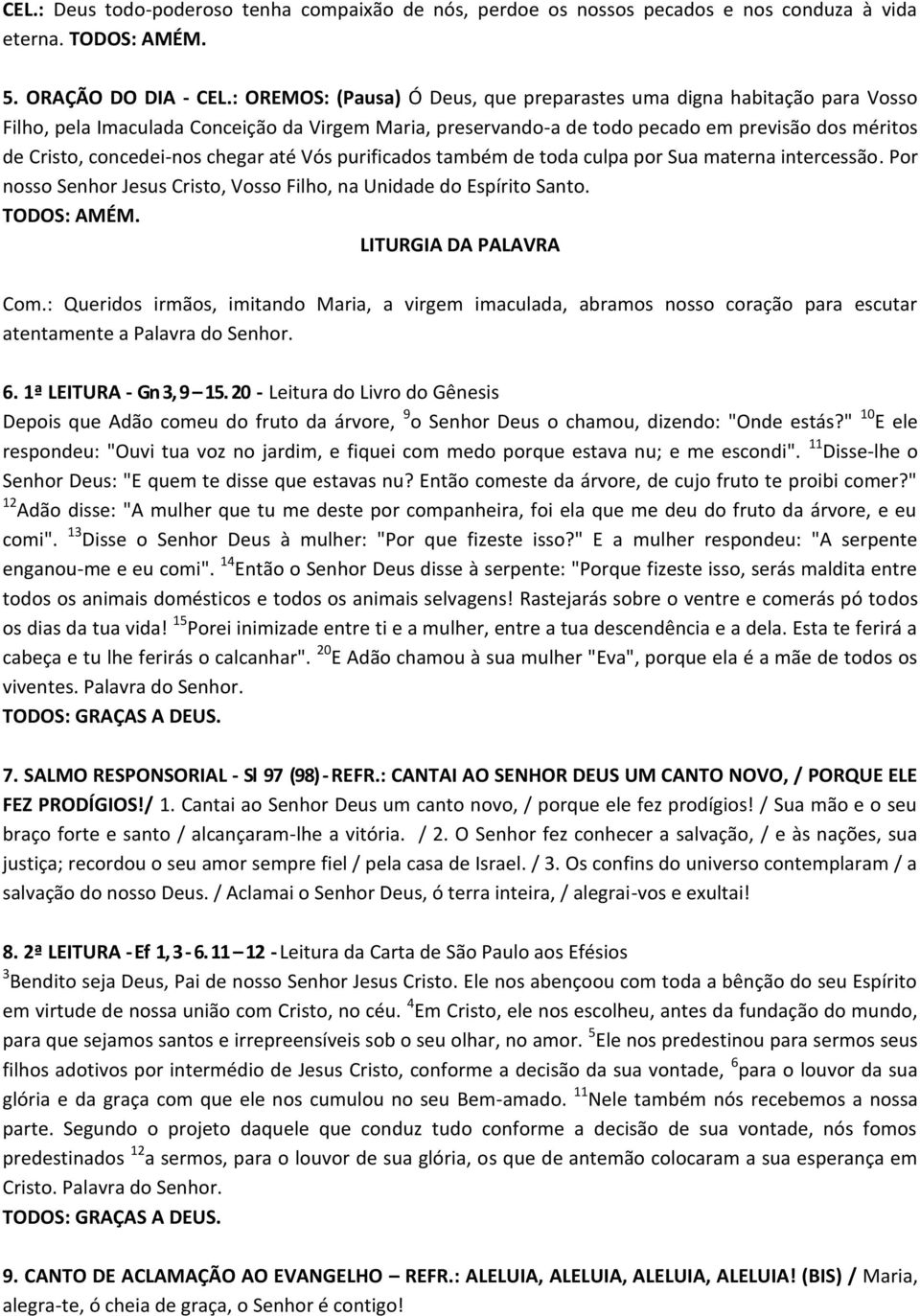 chegar até Vós purificados também de toda culpa por Sua materna intercessão. Por nosso Senhor Jesus Cristo, Vosso Filho, na Unidade do Espírito Santo. LITURGIA DA PALAVRA Com.