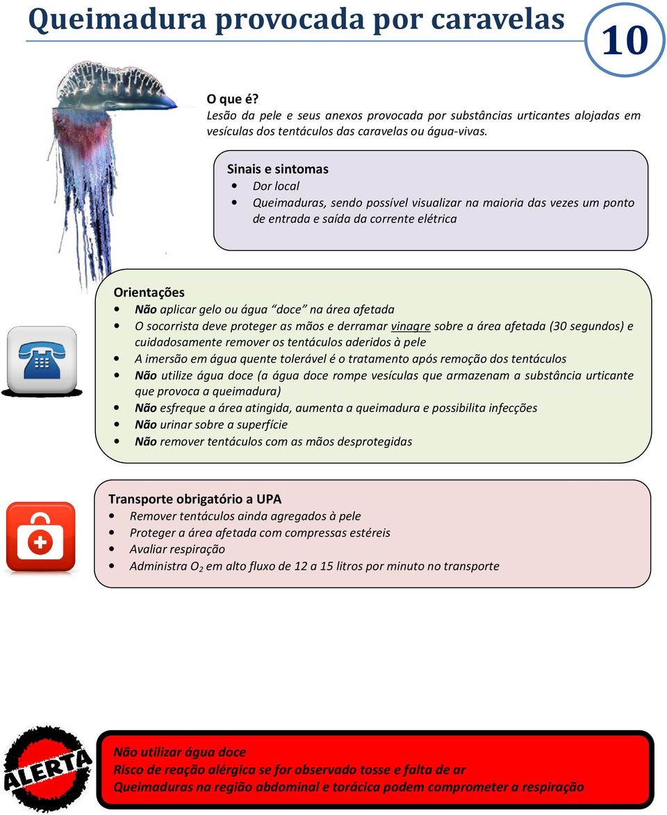 e derramar vinagre sobre a área afetada (30 segundos) e cuidadosamente remover os tentáculos aderidos à pele A imersão em água quente tolerável é o tratamento após remoção dos tentáculos Não utilize