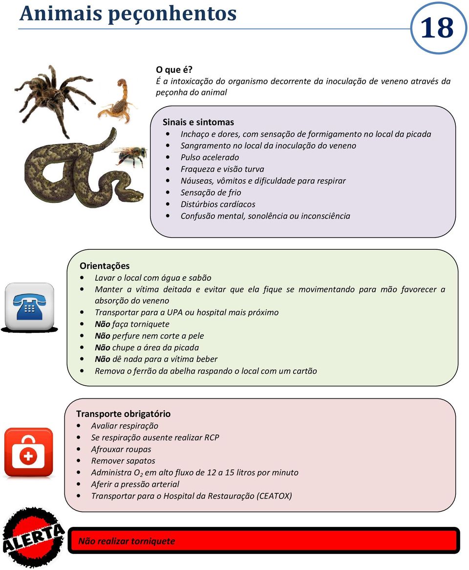 Lavar o local com água e sabão Manter a vítima deitada e evitar que ela fique se movimentando para mão favorecer a absorção do veneno Transportar para a UPA ou hospital mais próximo Não faça