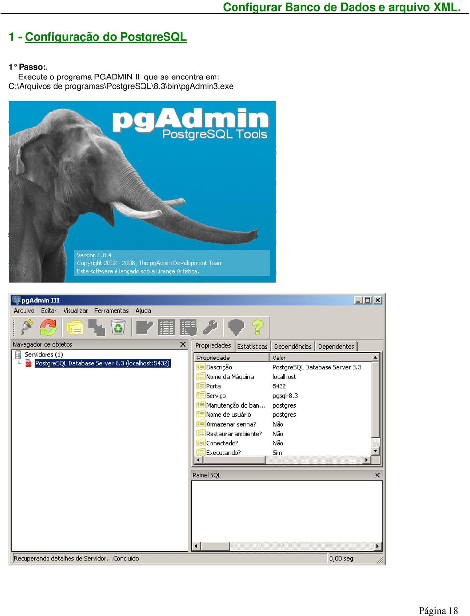 Execute o programa PGADMIN III que se encontra