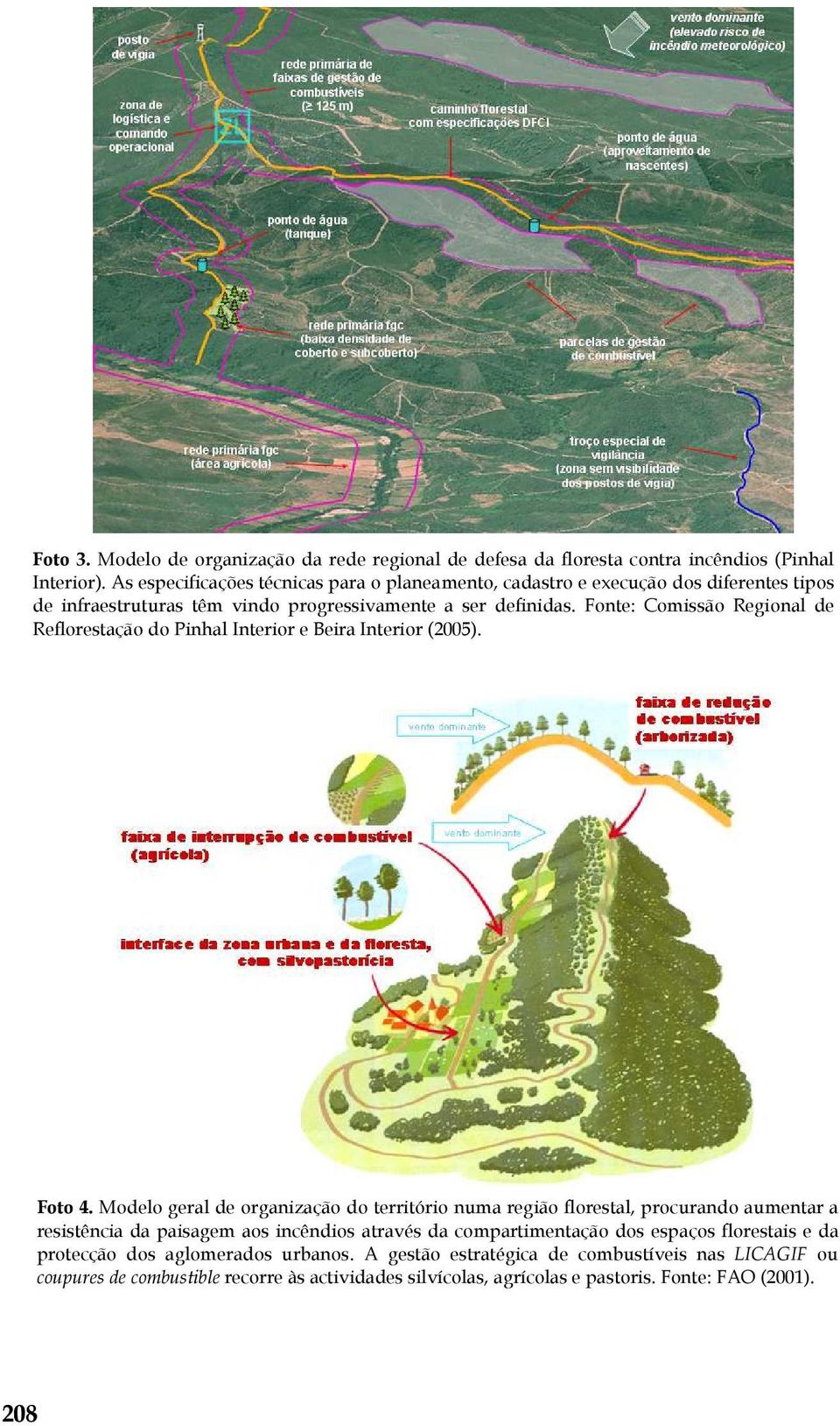 Fonte: Comissão Regional de Reflorestação do Pinhal Interior e Beira Interior (2005). Foto 4.