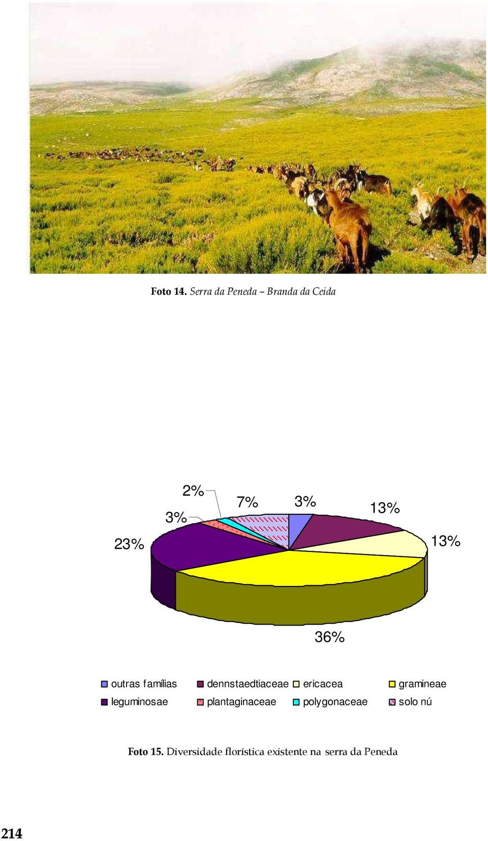 36% outras famílias dennstaedtiaceae ericacea gramineae
