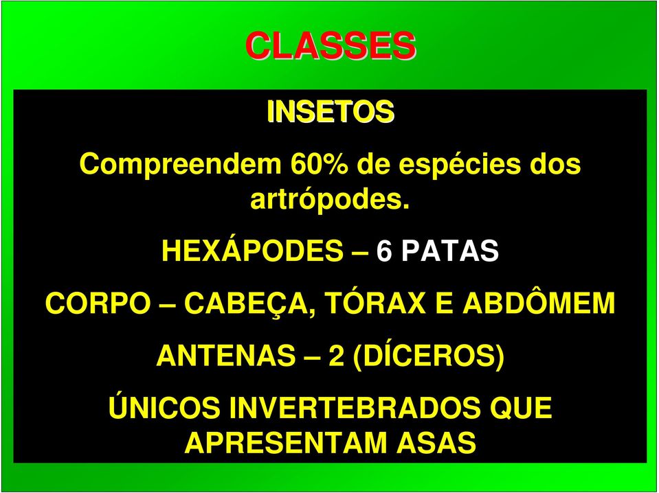 HEXÁPODES 6 PATAS CORPO CABEÇA, TÓRAX E