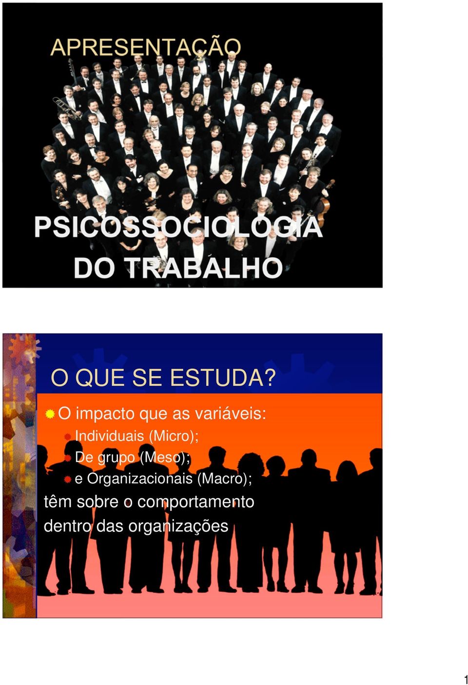 O impacto que as variáveis: Individuais (Micro);