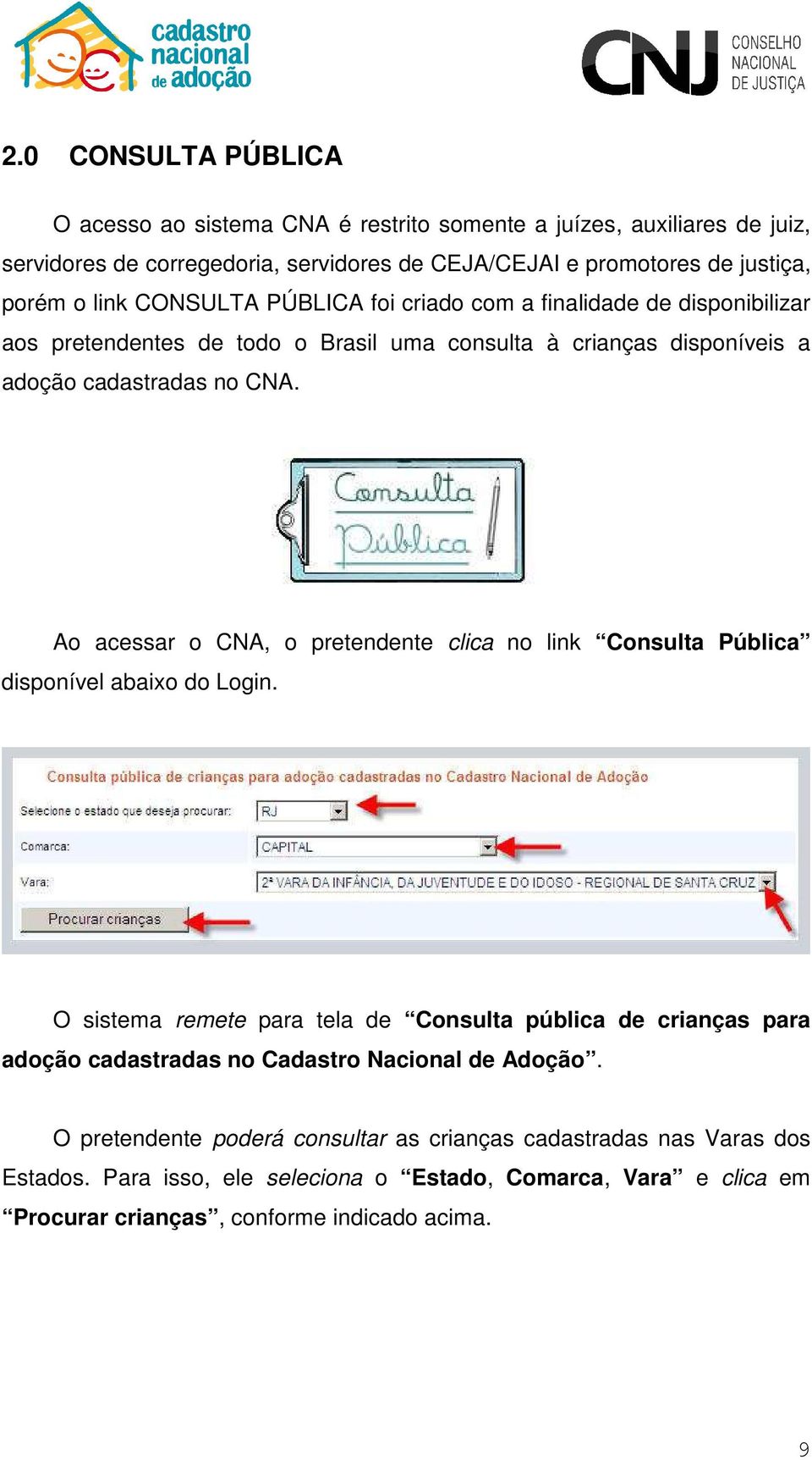 Ao acessar o CNA, o pretendente clica no link Consulta Pública disponível abaixo do Login.