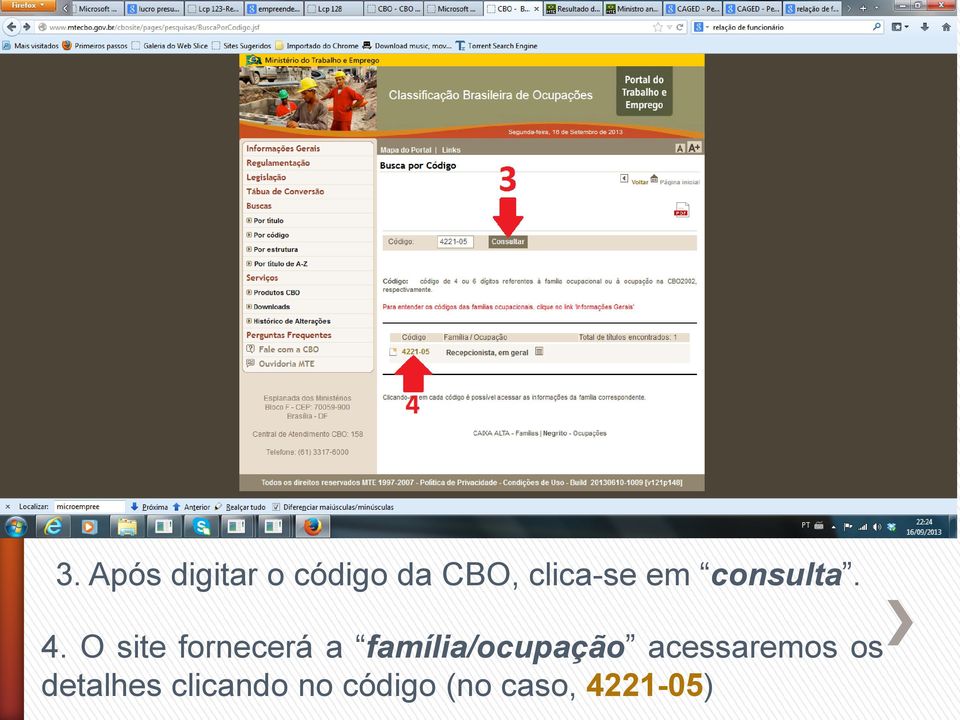 O site fornecerá a família/ocupação