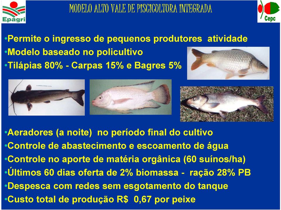 abastecimento e escoamento de água Controle no aporte de matéria orgânica (60 suínos/ha) Últimos 60 dias oferta