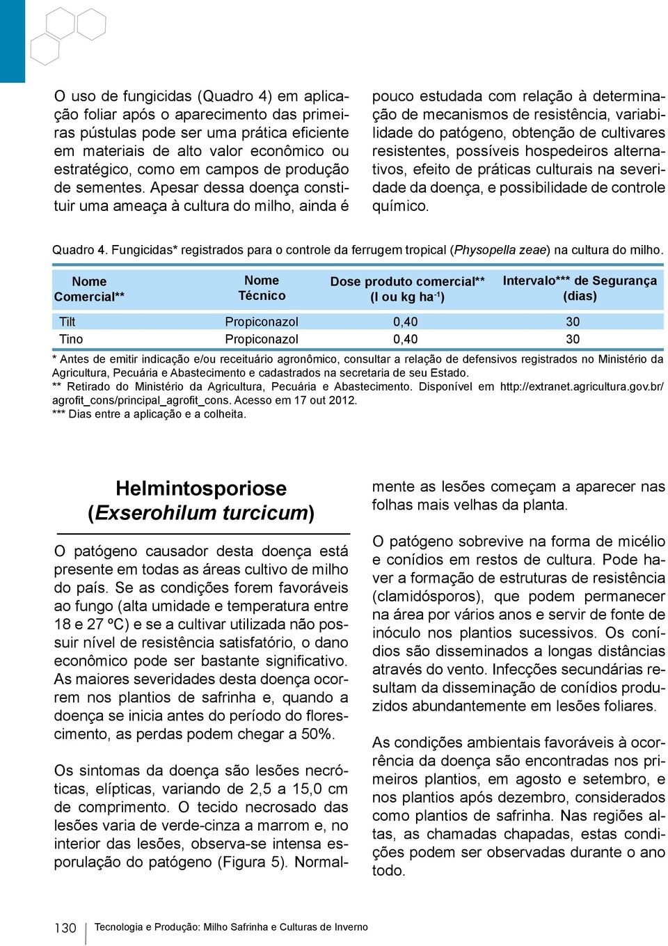 O tecido necrosado das lesões varia de verde-cinza a marrom e, no interior das lesões, observa-se intensa esporulação do patógeno (Figura 5).