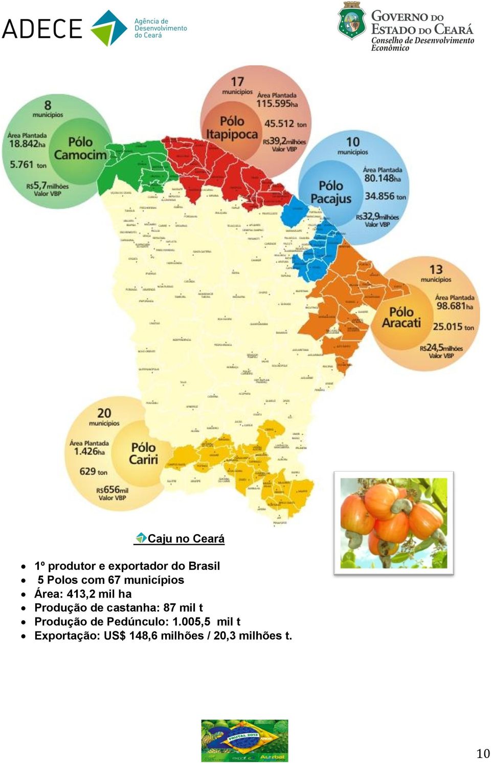 de castanha: 87 mil t Produção de Pedúnculo: 1.