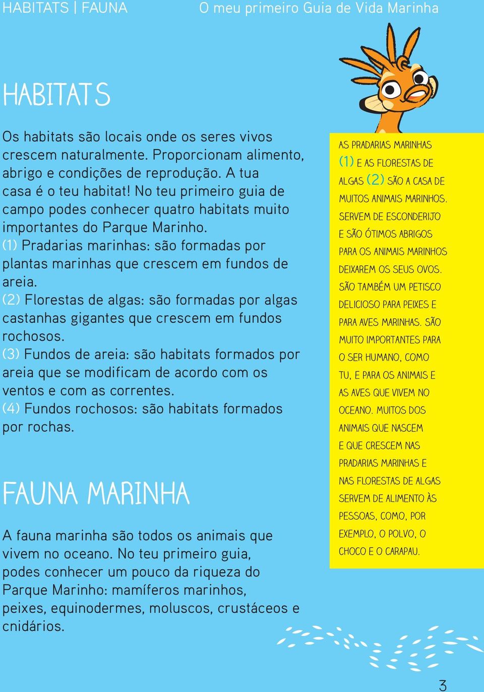 (1) Pradarias marinhas: são formadas por plantas marinhas que crescem em fundos de areia. (2) Florestas de algas: são formadas por algas castanhas gigantes que crescem em fundos rochosos.