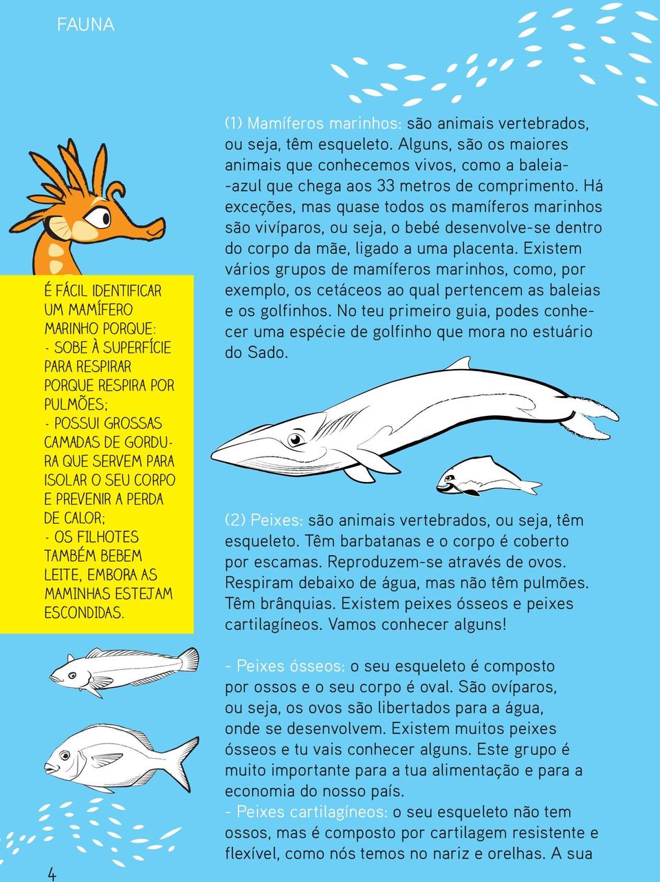 Alguns, são os maiores animais que conhecemos vivos, como a baleia- -azul que chega aos 33 metros de comprimento.