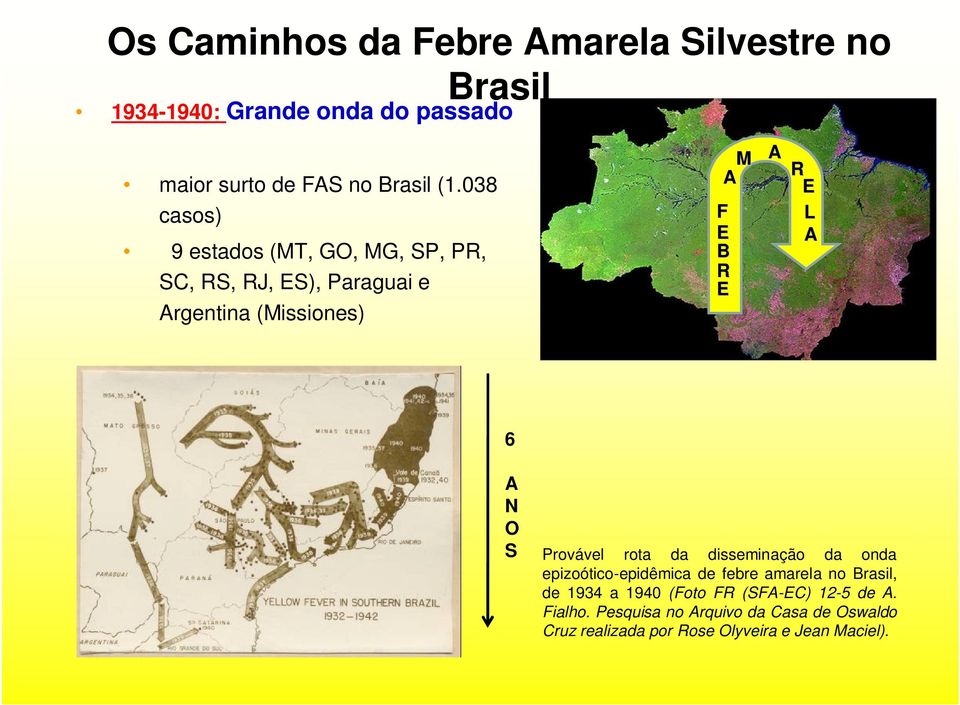 A N O S Provável rota da disseminação da onda epizoótico-epidêmica de febre amarela no Brasil, de 1934 a 1940 (Foto