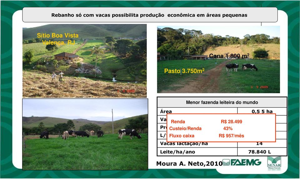 800 m 2 Menor fazenda leiteira do mundo Área 0,5 5 ha Vacas Renda R$ 28.