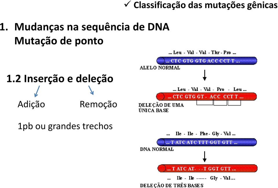 mutações gênicas 1.
