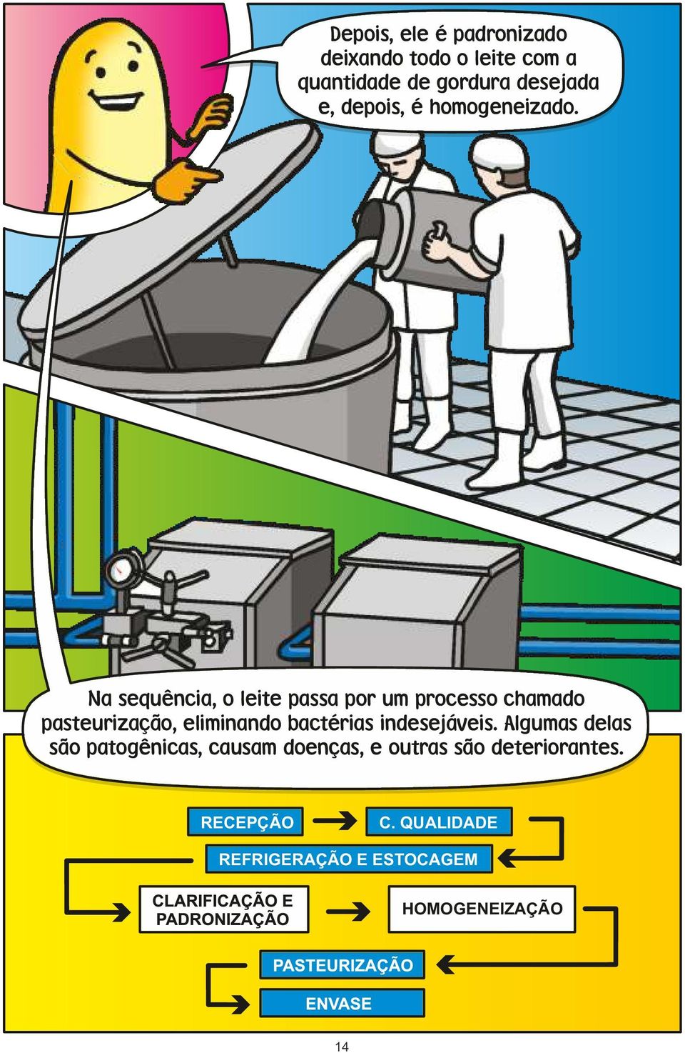 Na sequência, o leite passa por um processo chamado pasteurização, eliminando bactérias