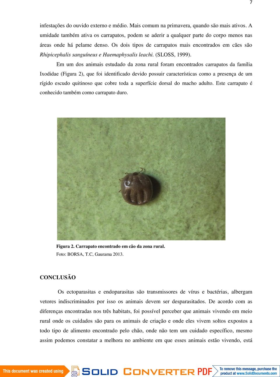 Os dois tipos de carrapatos mais encontrados em cães são Rhipicephalis sanguíneus e Haemaphysalis leachi. (SLOSS, 1999).