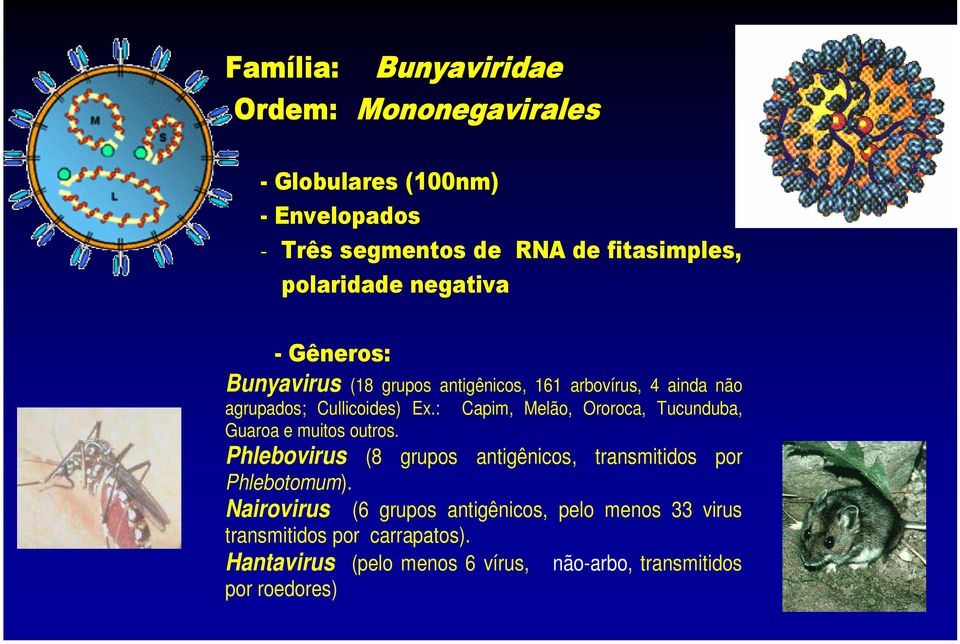 : Capim, Melão, Ororoca, Tucunduba, Guaroa e muitos outros. Phlebovirus (8 grupos antigênicos, transmitidos por Phlebotomum).