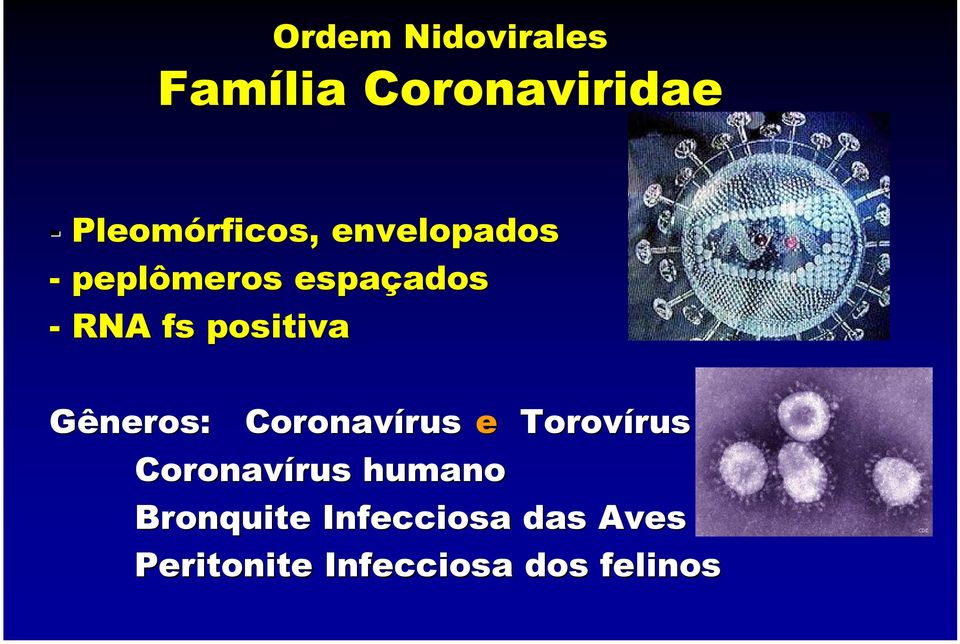 positiva Gêneros: Coronavírus rus e Torovírus rus Coronavírus