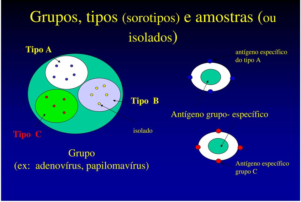 Antígeno grupo- específico Tipo C isolado Grupo