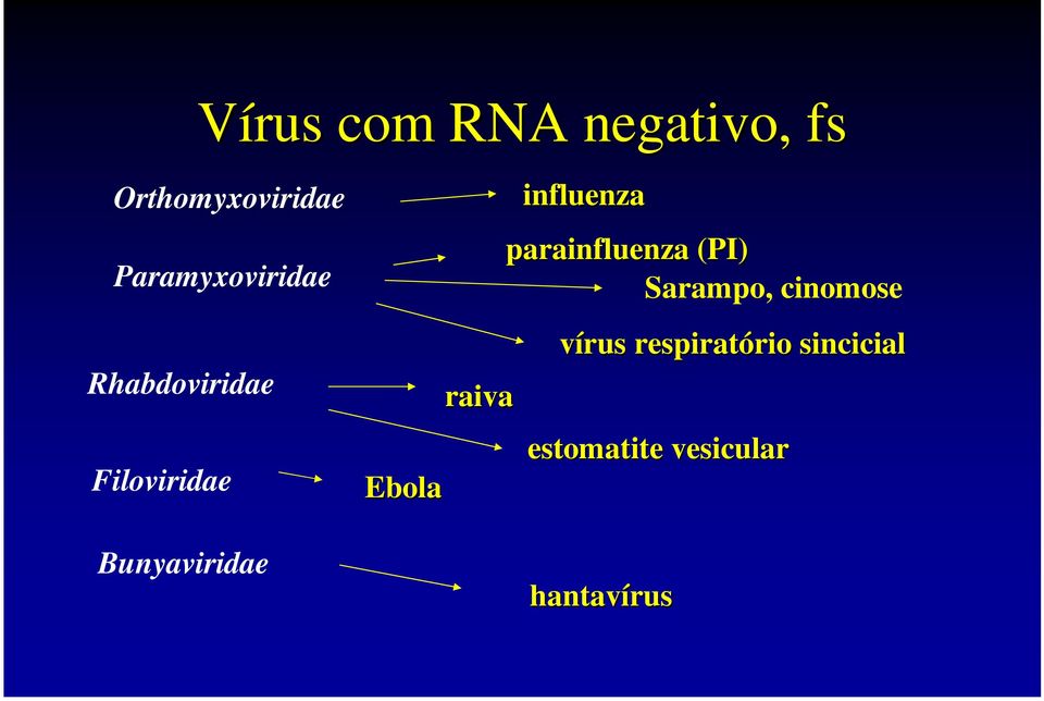 Ebola raiva influenza parainfluenza (PI) Sarampo,