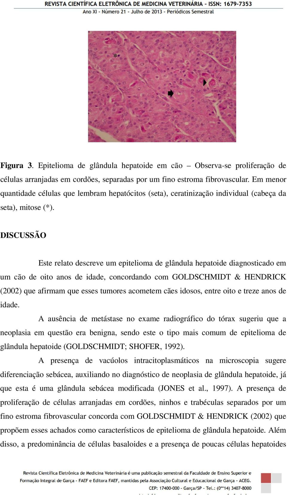 DISCUSSÃO Este relato descreve um epitelioma de glândula hepatoide diagnosticado em um cão de oito anos de idade, concordando com GOLDSCHMIDT & HENDRICK (2002) que afirmam que esses tumores acometem