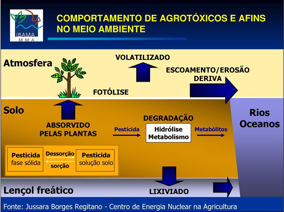 Hidrólise Metabolismo Metabólitos Rios Oceanos Pesticida fase sólida Dessorção sorção