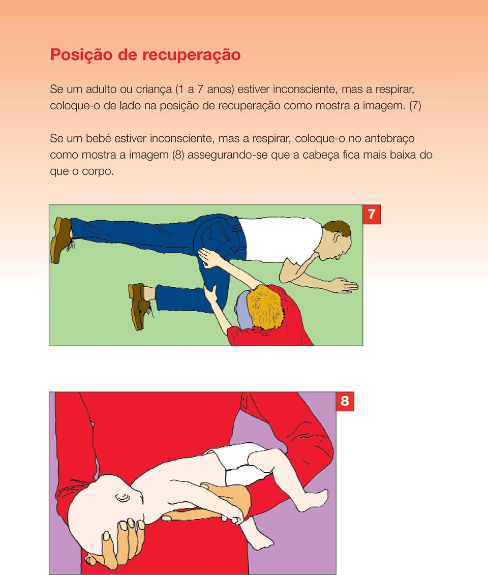 (7) Se um bebé estiver inconsciente, mas a respirar, coloque-o no antebraço como
