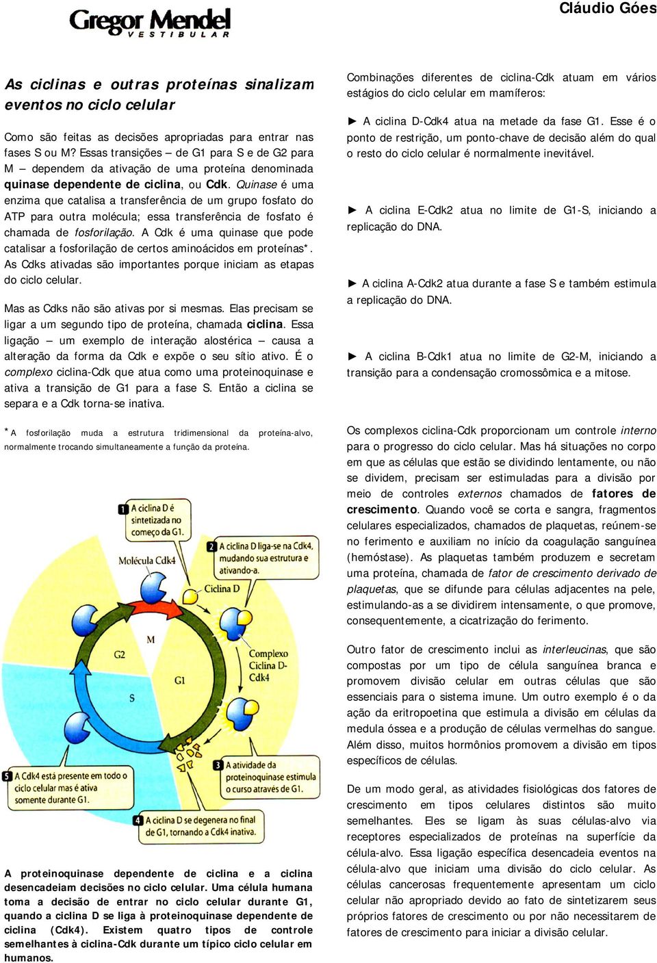 Quinase é uma enzima que catalisa a transferência de um grupo fosfato do ATP para outra molécula; essa transferência de fosfato é chamada de fosforilação.