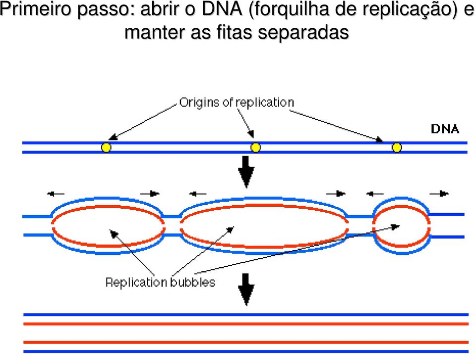 (forquilha( de