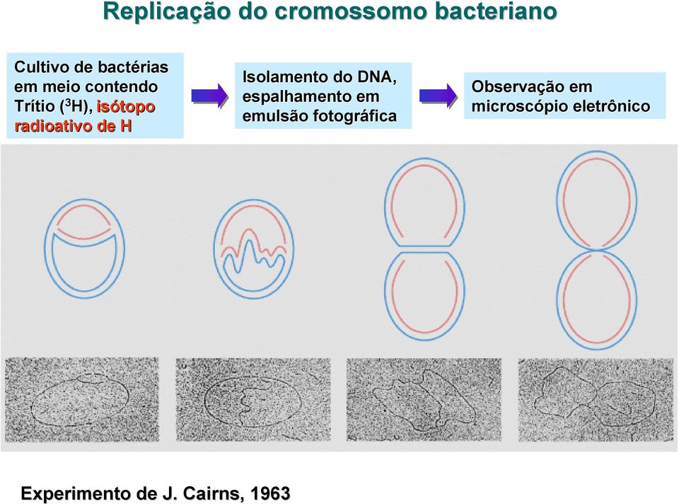 Isolamento do DNA, espalhamento em emulsão fotográfica