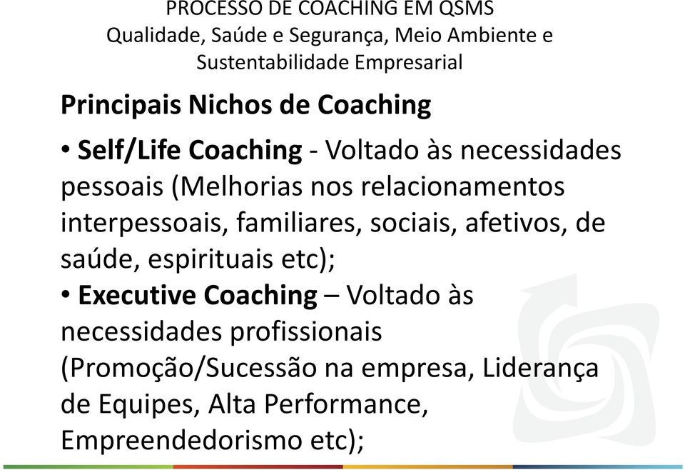 saúde, espirituais etc); ExecutiveCoaching Voltado às necessidades profissionais