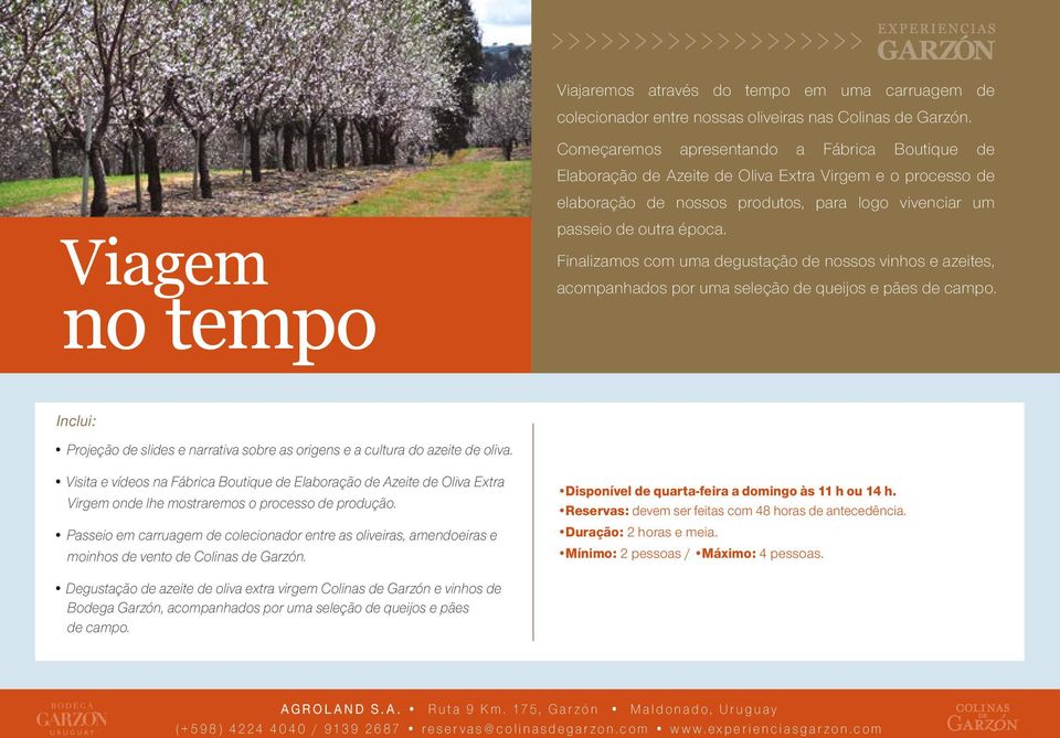 Finalizamos com uma degustação de nossos vinhos e azeites, acompanhados por uma seleção de queijos e pães de campo.