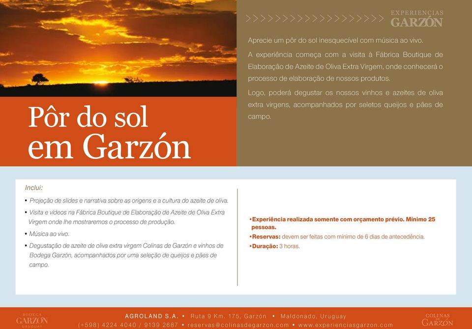Pôr do sol em Garzón Logo, poderá degustar os nossos vinhos e azeites de oliva extra virgens, acompanhados por seletos queijos e pães de campo. Música ao vivo.